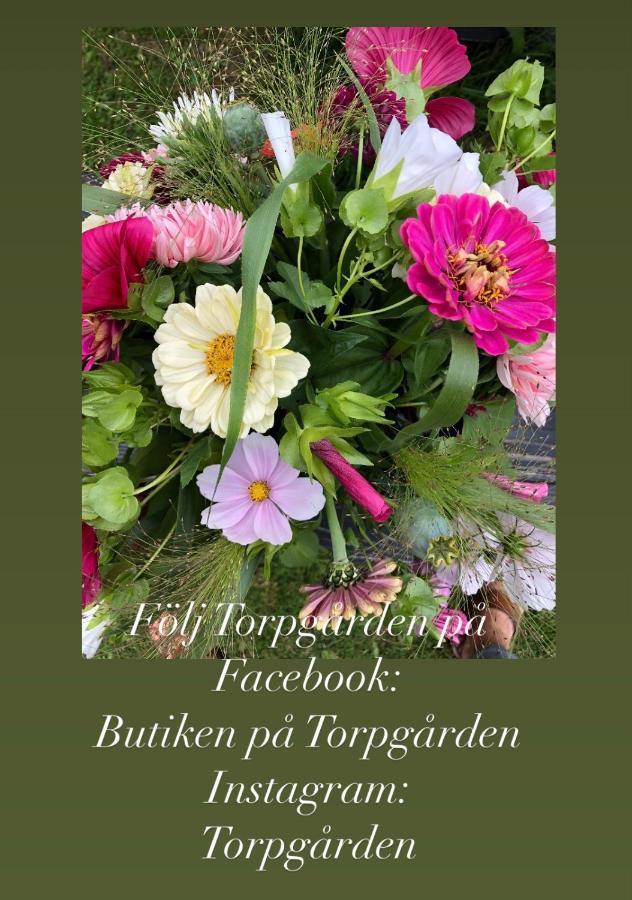 Torpgarden Oennerudsvaegen 56 Apartment Torsby Ngoại thất bức ảnh